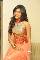 Vithika Photo Gallery